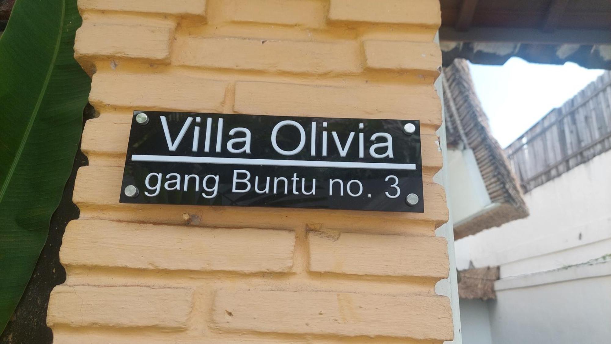 Villa Olivia Семиньяк Экстерьер фото